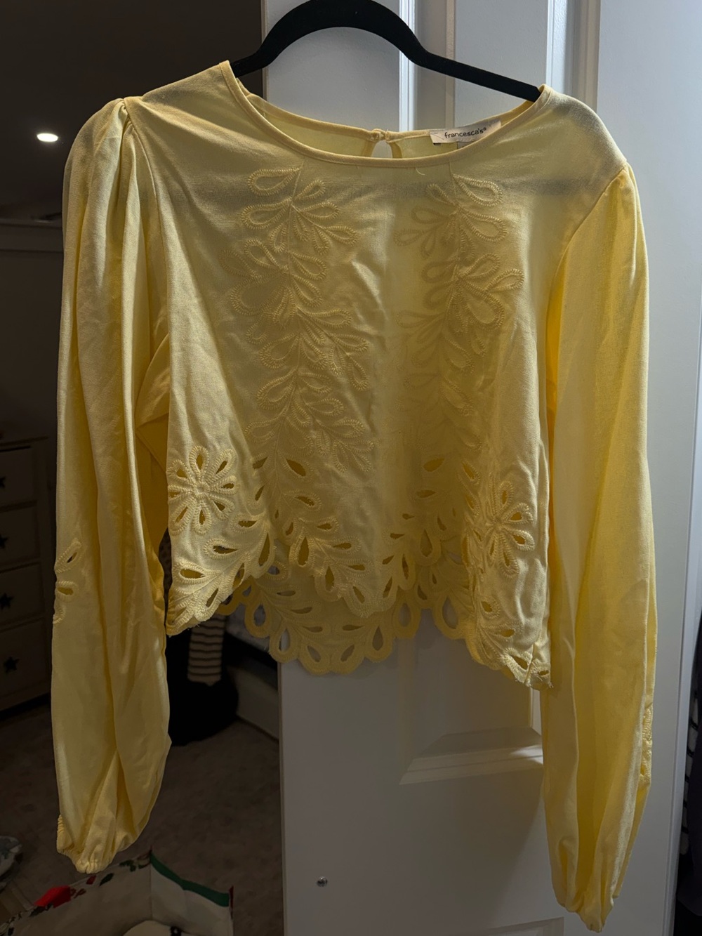 Francesca's Collections Pale Yellow Embroidered Cutwork Long-Sleeve Top